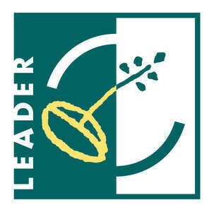 Leader quadri